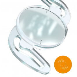 RayOne® Toric